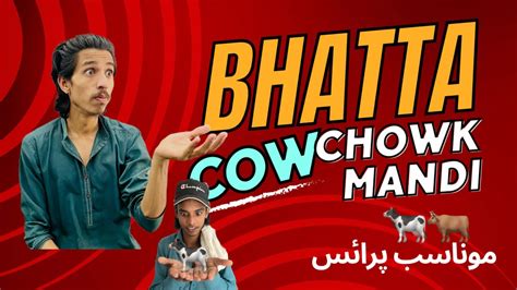 Bhatta Chowk Mandi Maweshi Mandi Update Youtube