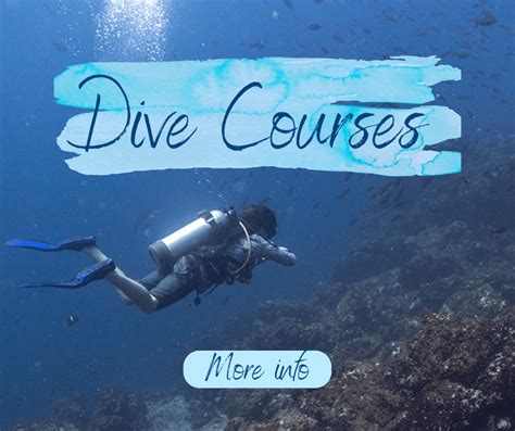 Oceans Unlimited Scuba Diving In Costa Rica