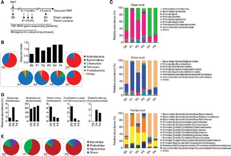 Analysis Of Fecal Microbiota A Sample Description Fecal Samples