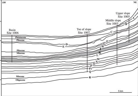 Interpreted Seismic Cross Section Showing The Prograding Sequences