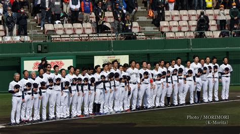 ダルビッシュ選手参加 大谷選手不参加 Wbc日本代表（侍ジャパンキャンプ）サンマリンスタジアム宮崎で217～27強化合宿 日々ブログ