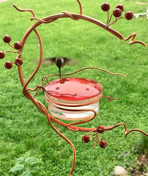 Coppervine Hummingbird Feeder Etsy