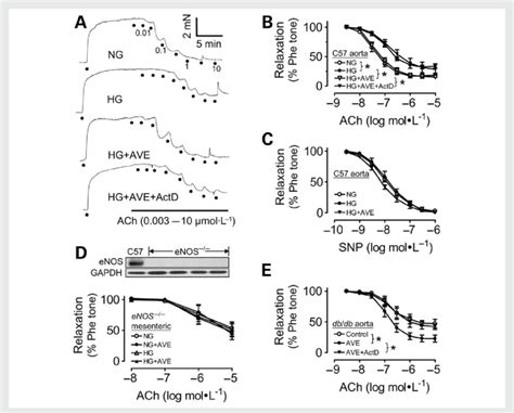 A Traces Showing Endothelium Dependent Relaxation To Acetylcholine In