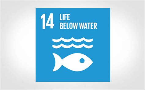 Sdg Goal Life Below Water Impossible Metals