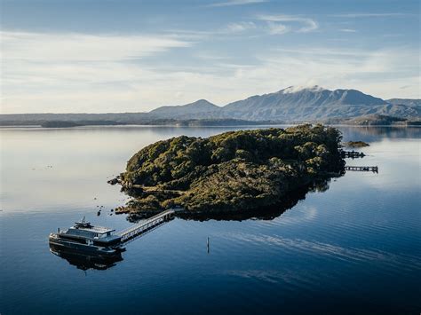 Gordon River Cruises Strahan Tutto Quello Che Cè Da Sapere