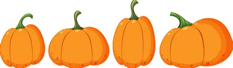 set   pumpkin shapes  vector art  vecteezy