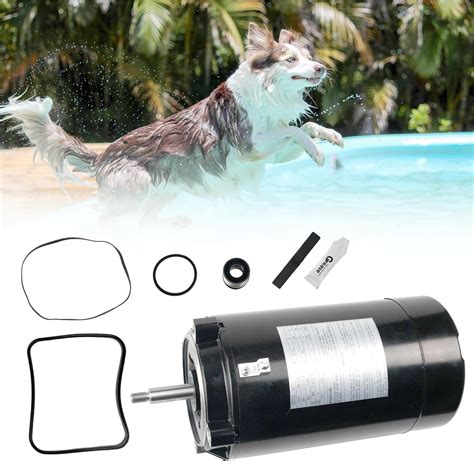 Amazon Ust Swimming Pool Pump Motor Replace Century Pool Pump