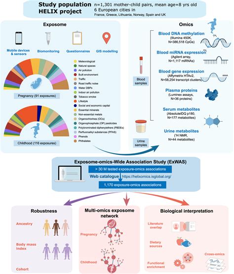 An Overview Of The Early Life Exposome And Multi Omics Signature