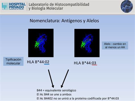 Estandarización de las técnicas de determinación de antígenos HLA