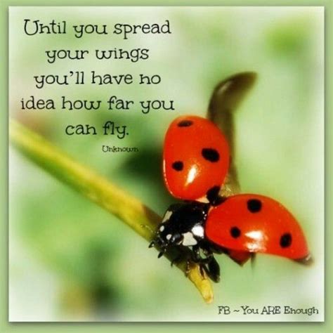 What The Ladybug Whispered Ladybug Quotes Weekend Quotes Ladybug