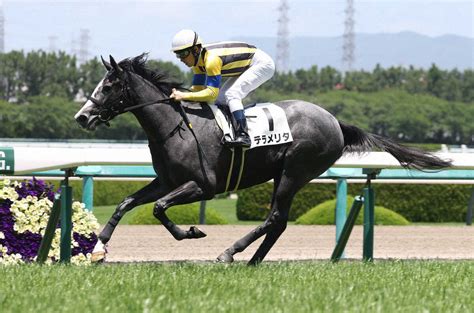 2歳新馬戦開幕！世代一番星はテラメリタ 新種牡馬ブリックスアンドモルタル産駒― スポニチ Sponichi Annex ギャンブル