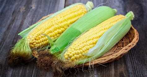 How To Grow Sweet Corn At Home Gardeners Path