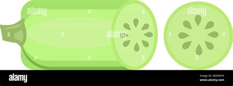 Green Zucchini Illustration Stock Vector Image And Art Alamy