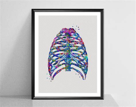 Thorax Watercolor Art Rib Cage Poster Medical Art Skeletal Bones Art