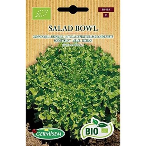 Germisem Bio Graines Laitue Couper Feuilles De Ch Ne Verte Salad Bowl