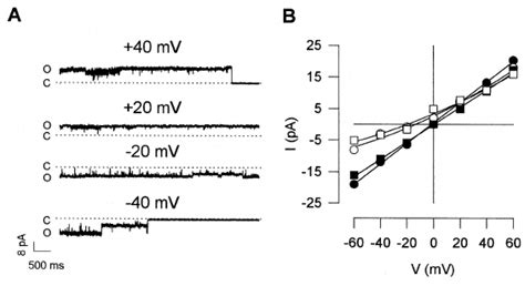 Large Conductance Anion Currents Obtained From Inside Out Patches A