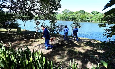 Parque Ecológico de Barão Geraldo reabre nesta terça feira Hora Campinas