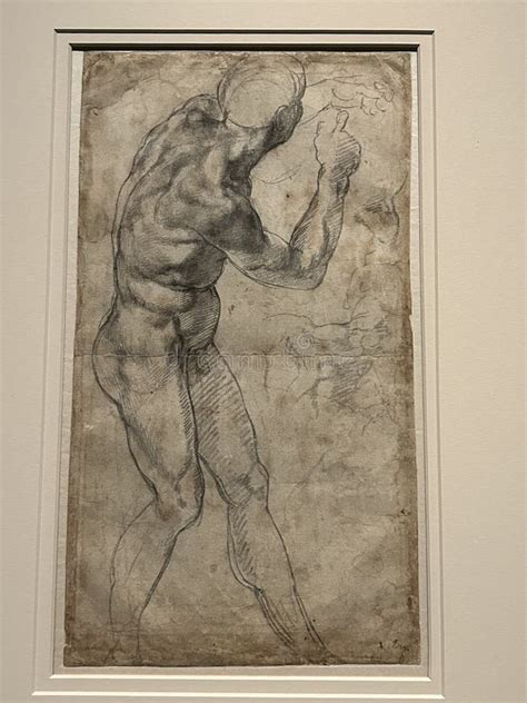 Male Nude Seen From The Right Black Chalk Heightened With White By