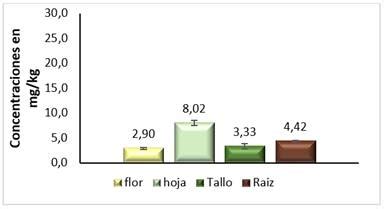 Determinaci N De Los Coeficientes De Fitorremediaci N De Cadmio Y Plomo