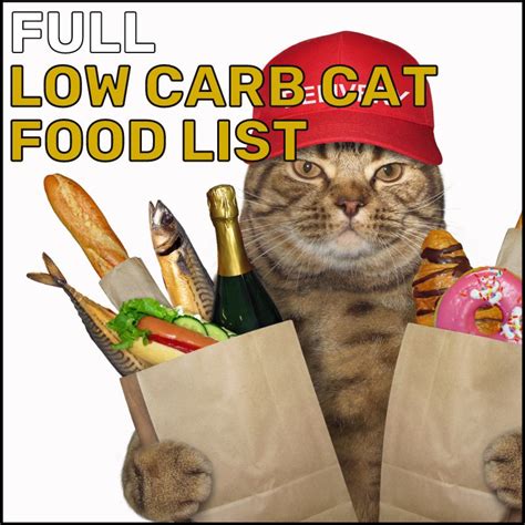 Full Low Carb Cat Food List in 2024