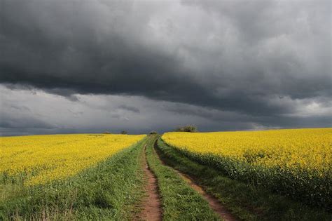 W Polsce zachmurzenie umiarkowane i duże z lokalnymi opadami deszczu