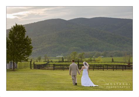 Virginia Wedding Photography | King Family Vineyard