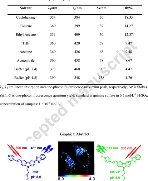 Table From A Two Photon Ratiometric Fluorescent Probe Enables Spatial