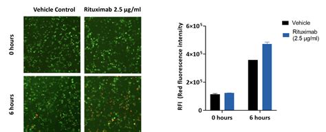 Macrophage Based Assays Cellomatics Biosciences