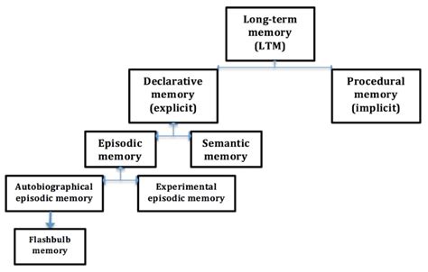 Episodic Procedural And Semantic Memory Reference Library