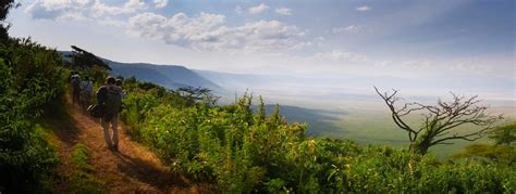 Ngorongoro Crater Rim - Elevate Destinations