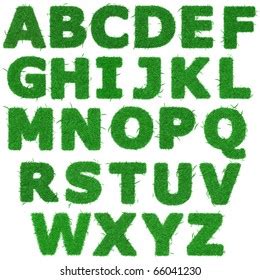 All Letters Green Grass Alphabet Isolated Stock Illustration 66041230