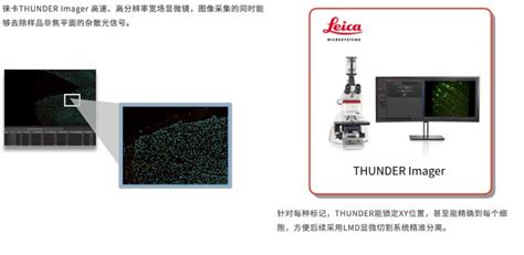 丹纳赫生命科学 基因组学