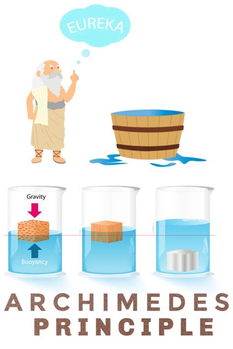 What is the Archimedes' Principle? - Science Questions for Kids