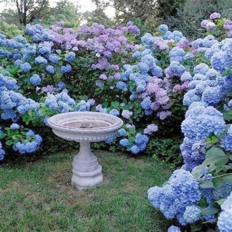 17 Dreamy Hydrangea Gardens That Are Giving Us Major Inspiration Artofit