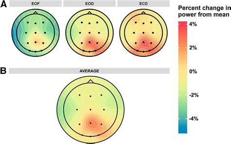 Visual Modulation Of Resting State α Oscillations Eneuro