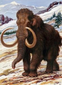 Top 5 reasons I am opposed to cloning woolly mammoths - The Niche