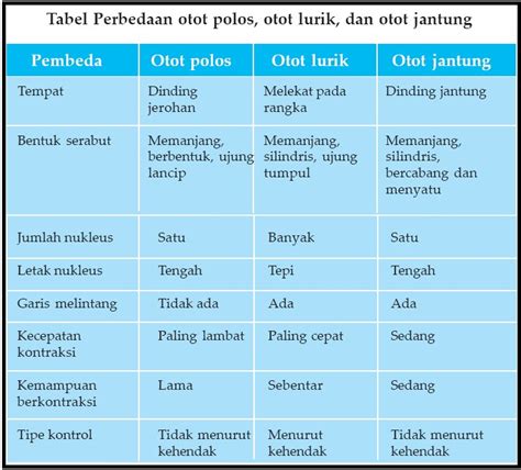 perbedaan otot polos otot lurik  otot jantung pas collage privat
