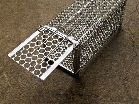 Cage Mouse Trap Stock Image Image Of Isolated Trap 76738613
