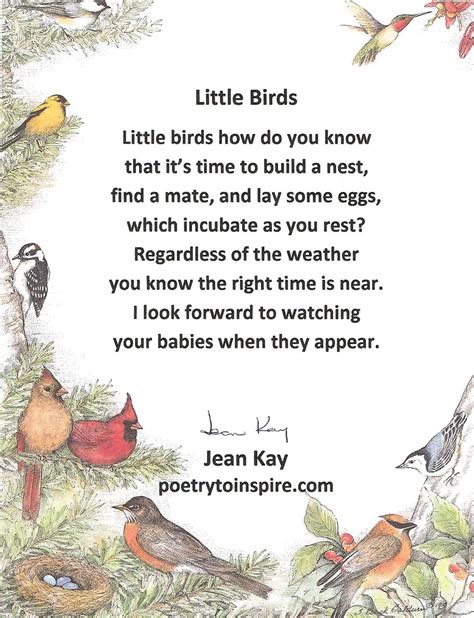 Poem On Birds And Animals