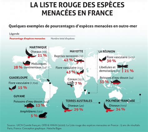 Biodiversité en France près de 20 despèces menacées WE DEMAIN