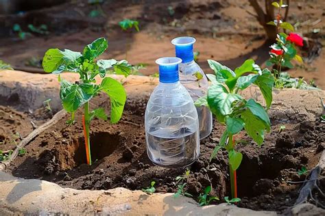 Mantenga Sus Plantas Felices E Hidratadas El Sistema De Riego Por