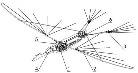 一种仿翼龙扑翼飞行器的制作方法