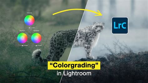 How To Color Grade Like A Pro In Lightroom In Just 5 Minutes YouTube