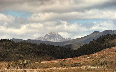 Frenchmans Cap View From Lake Burbury Tasmania Frenchmans Flickr