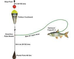 Peche Des Carnassiers Site De Noscarnassiersdeaudouce