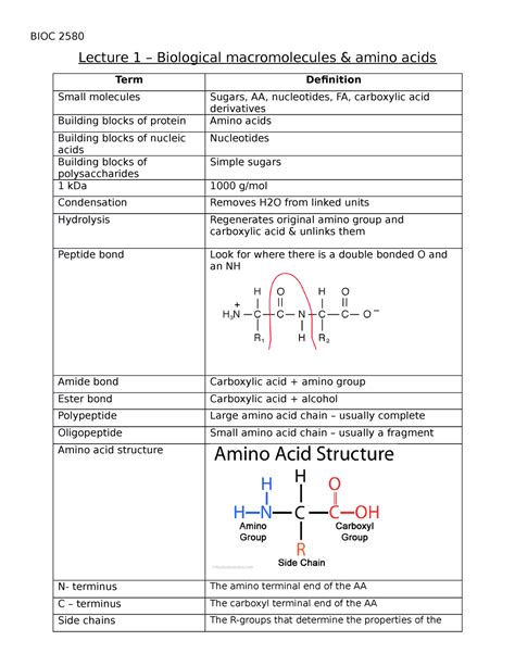 Lecture 1 Summary Wjiekoon Bioc 2580 Lecture 1 Biological