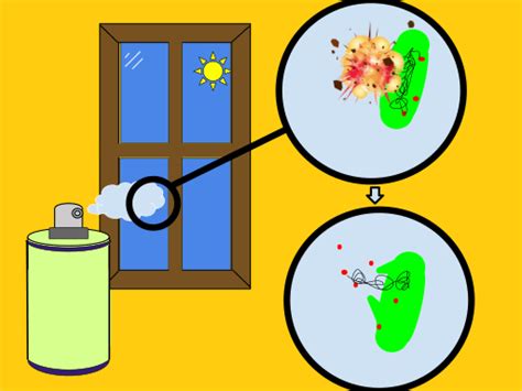 What is the Difference Between Antibiotic and Antiseptic and Disinfectant | Compare the ...