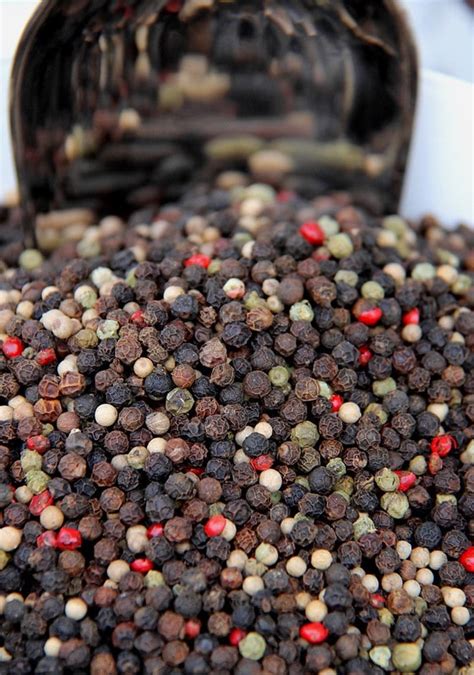 The 5 Different Types of Peppercorn | Snap Kitchen