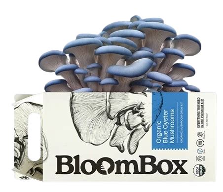 Custom Mushroom Growing Kit Boxes Boxtel Custom Packaging