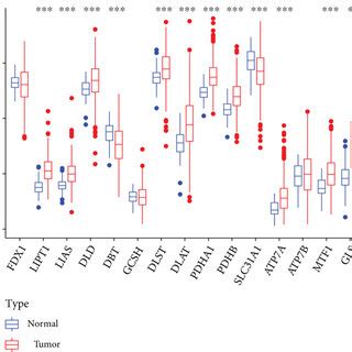 Molecular Characterization Of Crgs In Hcc A Differential Expression